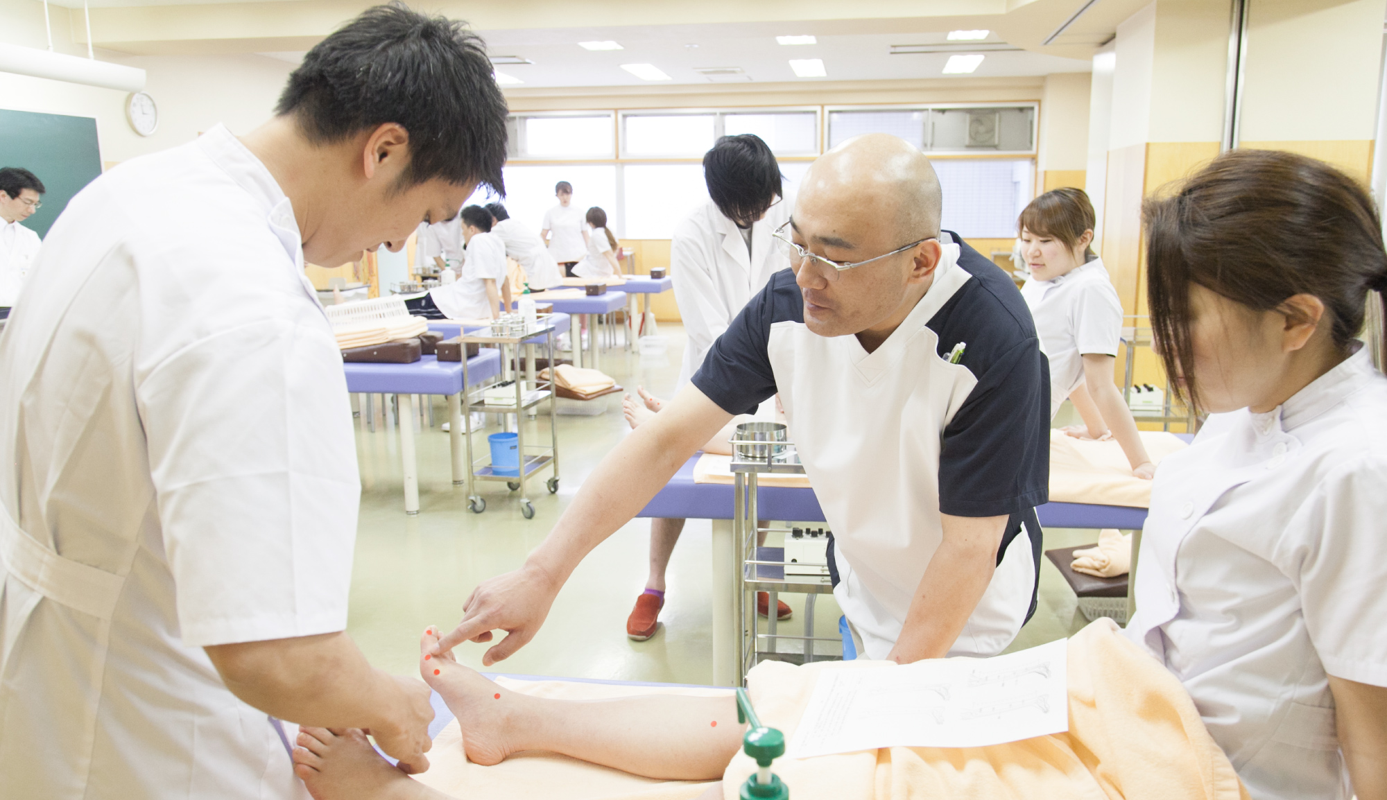 2年次に学ぶこと